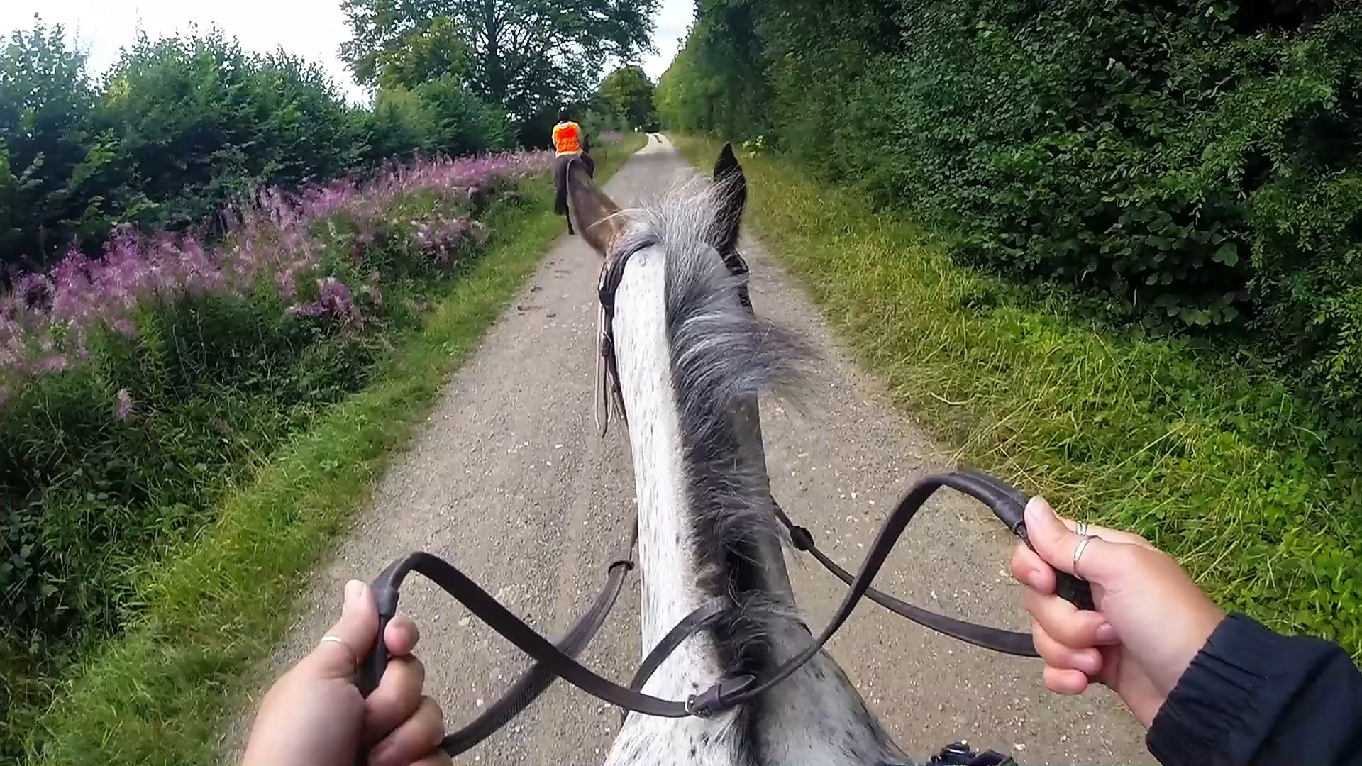 A lovely ride to the pub Horse Riding In Bedfordshire Compliments of Red Letter