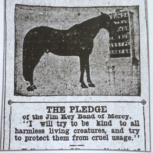 Beautiful Jim Key — The Power of Love – Sunshine Riding School